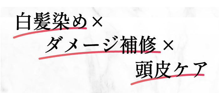 商品画像：クレイトーン-[セレクタージュ] 4