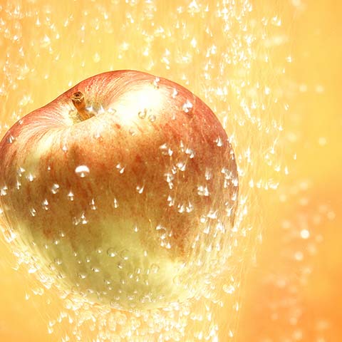 スイスの希少品種「奇跡のリンゴ」